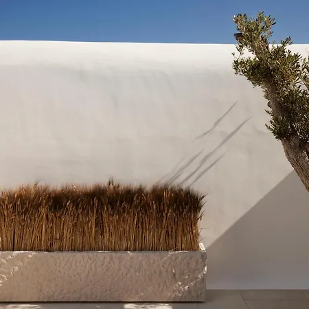 מלון Kalesma Mykonos 5*