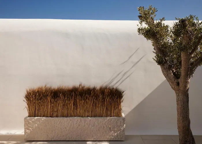 Otel Kalesma Mykonos 5*